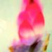 Profile Picture of Ben Tso (Ben Tso) (@benevergreen) on Facebook