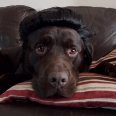 Steve Aldous - Twitter Profile Picture of Steve Aldous (@aldous_steve) on Twitter