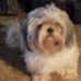 Profile Picture of Louise Felts (@louise.felts.1) on Facebook
