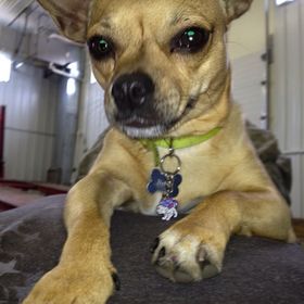 Profile Picture of Danielle Lorrig (@dlorrig) on Pinterest