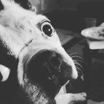 Profile Picture of Richard Sobeck (@sobeckrichard) on Instagram