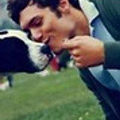 Profile Picture of Ian Brandt (@ianbrandt62) on Twitter