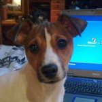 Profile Picture of Kate Ewing (@kewing1966) on Instagram