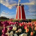 Profile Picture of Birchall Joanne (@birchalljoanne) on Instagram