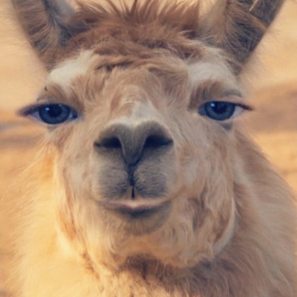 Profile Picture of Alexys Grossman (@alexys_w) on Poshmark