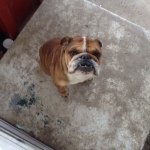 Major Hendricks - Instagram Profile Picture of Major Hendricks (@hello_major456) on Instagram