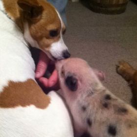 Profile Picture of Brandi N Larry McReynolds (@brand73) on Pinterest