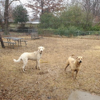 Profile Picture of Herbert Fuentes (@fuentesherbert1) on Twitter