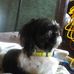 Profile Picture of Phyllis Roe (@phyllis.roe.1612) on Facebook