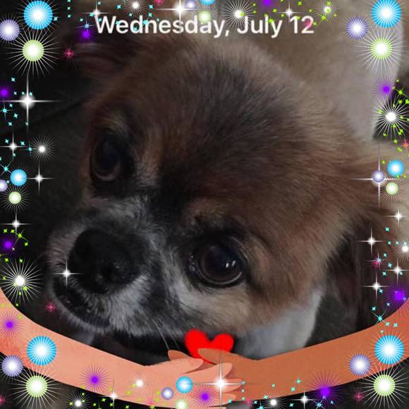 Profile Picture of Pamela Adkins (@pookybbaby) on Poshmark