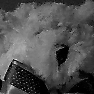 Profile Picture of Edward Magnus (@edward.magnus.796) on Facebook