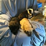 Profile Picture of Nancy Engelhardt (@nancy.engelhardt.642511) on Facebook