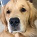 Profile Picture of Adam Drew (@adam.drew.50746) on Facebook