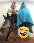 Profile Picture of   😂😂MIRE HASTA FINAL... (@alyz.ea) on Tiktok
