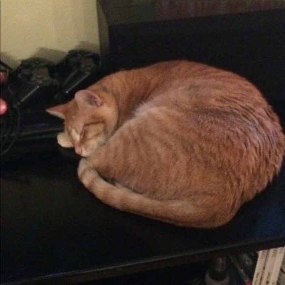 Profile Picture of Morgan Campbell (@mcampbell1236) on Poshmark