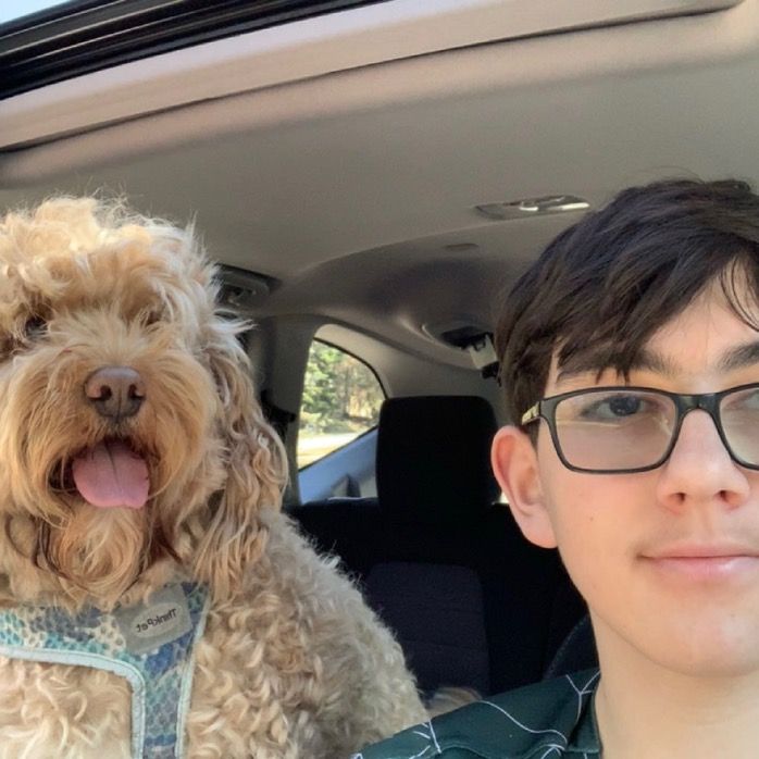 Profile Picture of jacob.las (@jacob.las) on Tiktok