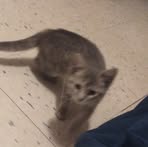 Profile Picture of Chris Grabski (@Chris-Grabski) on Facebook