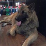 Profile Picture of Dimitri Goodwin (@mitrigoody03) on Instagram