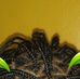 Profile Picture of Deno Douglas (@deno.douglas.1) on Facebook