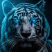 Profile Picture of Jonathan Hendriks (@hendriksjonathan) on Pinterest