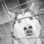 Profile Picture of chloe rasmussen (@chloe_rasmussen07) on Instagram