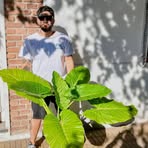 Profile Picture of Brian Sev (@Brian-Sev) on Facebook