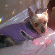 Profile Picture of Gloria Rego (@gloria.rego.1485) on Facebook
