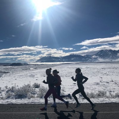 Profile Picture of Margo Malone (@margo_malone) on Twitter