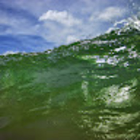 Profile Picture of Tico Tico (@tico_tico) on Poshmark