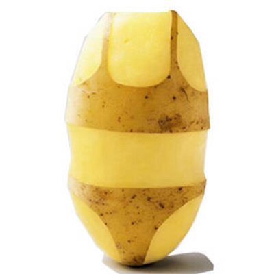 Profile Picture of Yanting Huang (@potatomatox) on Twitter