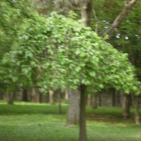 Profile Picture of Jessica Frank (@jf823pp) on Pinterest