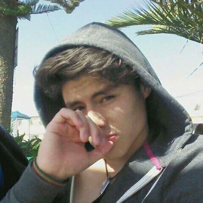Profile Picture of Alexander Fabrizio Vidal Cruz (@alexandersdfg) on Twitter