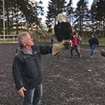 Profile Picture of Jeff Whalen (@whalen2963) on Instagram