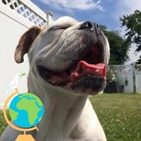 Profile Picture of Jeff Grabowski (@jeff-grabowski-4) on Quora