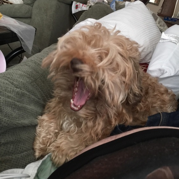 Profile Picture of Lucas Barker (@potroast123) on Poshmark