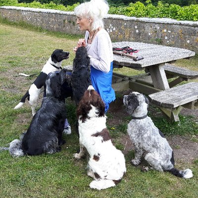 Profile Picture of Hilary Graham (@chinkleberry) on Twitter