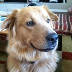 Profile Picture of Terry Craig Oline (@terryoline) on Instagram