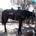 Profile Picture of Aron Cabrera (@aron.cabrera.1272010) on Facebook