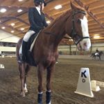 Profile Picture of Marsha Yang (@petroost) on Instagram