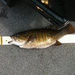 Profile Picture of paul_covell18 (@paul_covell18) on Instagram