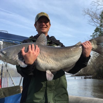 Profile Picture of Tom Hodges (@tomhodges1) on Twitter