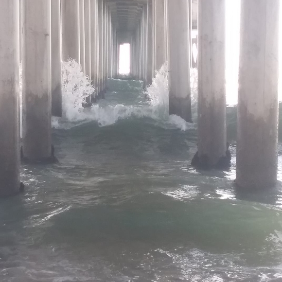 Profile Picture of Christopher Donnelly (@christopher1116) on Poshmark