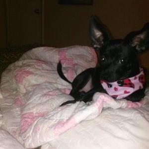 Profile Picture of Patti Cain (@CainPatti) on Twitter