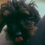Profile Picture of freddie cox (@freddiectheg) on Instagram