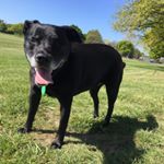 Profile Picture of Martin Stokes (@martin.stokes.167) on Instagram