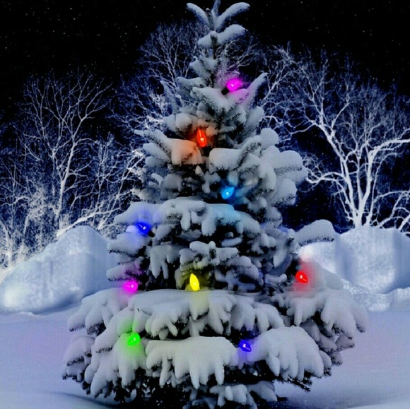 Profile Picture of Lou Lou (@louuuulouuuu19) on Poshmark