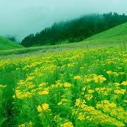 Albert Nolan - Facebook Profile Picture of Albert Nolan (@Albert-Nolan) on Facebook