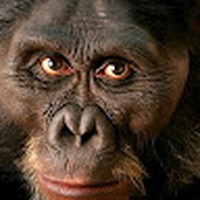 Profile Picture of Hal Carpenter (@hal-carpenter-5) on Quora