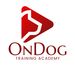 Profile Picture of OnDog Training Academy (@jennifers20850288) on Pinterest