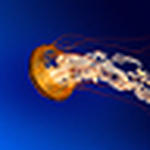 Profile Picture of Craig Thomas (@craigthomasrealtor) on Flickr